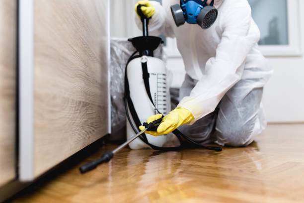 Best Pest Control for Businesses  in Clendon, AR