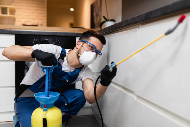 Best Ant Control Services  in Clendon, AR