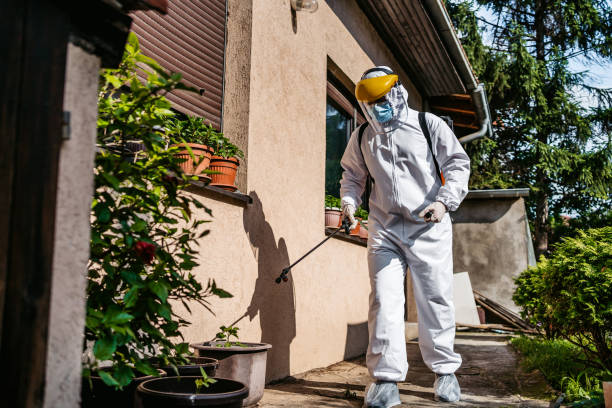 Best Pest Control Near Me in Clarendon, AR