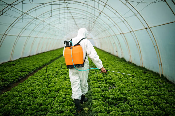 Best Emergency Pest Control  in Clendon, AR