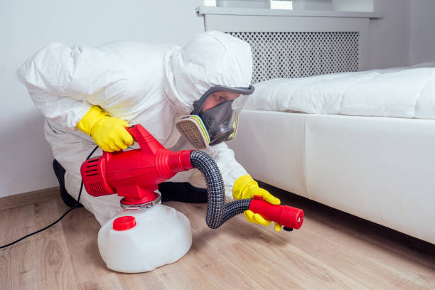 Best Exterminator Services  in Clendon, AR