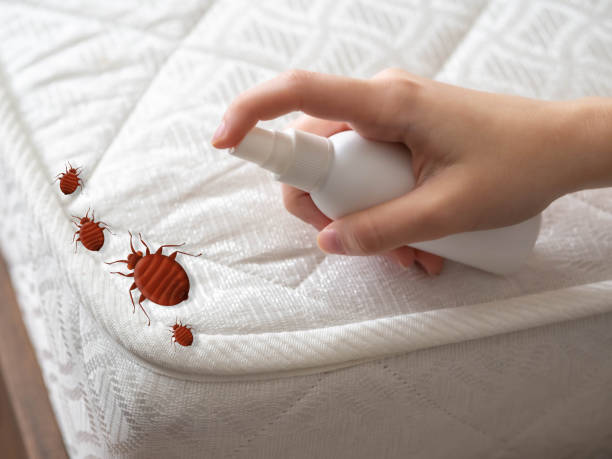 Best Best Pest Control Companies  in Clendon, AR