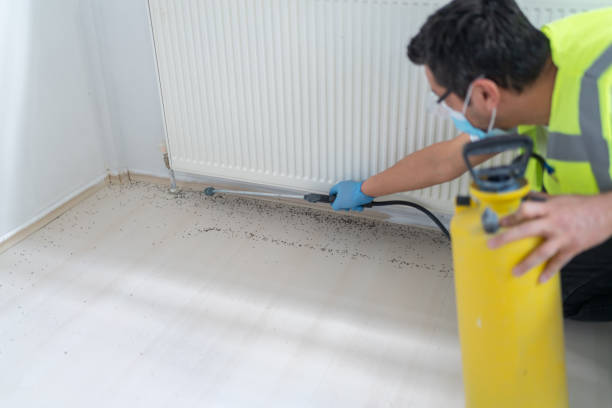 Best Flea Control Services  in Clendon, AR